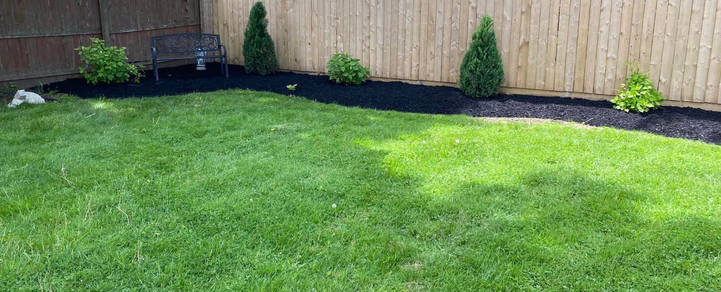 lawn care in a residential house