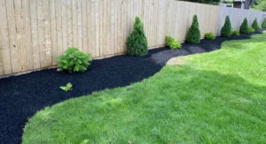 new sod and newly planted trees and shrubs against fence