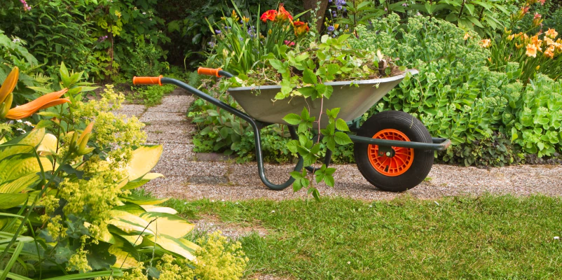 landscaping in a residential property